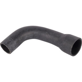 Tuyau de radiateur LANDINI 3673262M1
