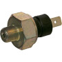 Interrupteur LOMBARDINI ED0050412670S