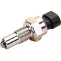 Interrupteur MASSEY FERGUSON 3796579M1
