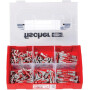 Kit de chevilles et vis FISCHER 541105FIS