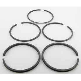 Segments UNIVERSEL 894900M91N