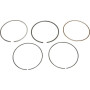 Segments HONDA 13010Z4P003