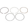 Segments HONDA 13010Z0Y014
