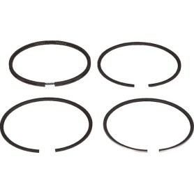 Segments LOMBARDINI 8210055