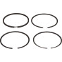 Segments LOMBARDINI 8210055