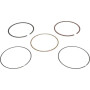 Segments HONDA 13010Z6L003