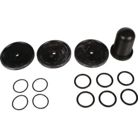 Kit membranes BERTOLINI 639828973