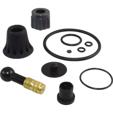 Kit de réparation et joints BIRCHMEIER 11614801SBBIR
