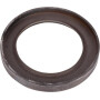 Joint GOLDONI V0069288