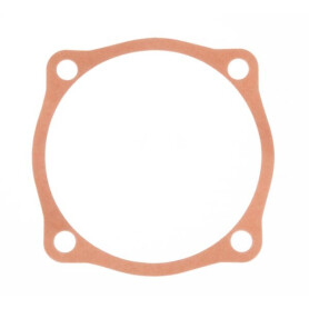 Joint MASCHIO M48000110R
