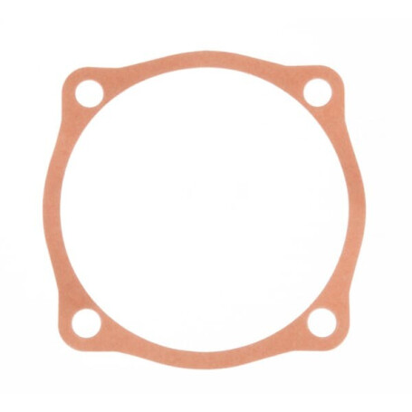 Joint MASCHIO M48000110R