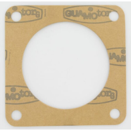 Joint MASCHIO M38100213R