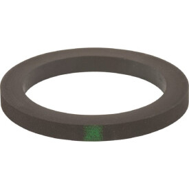 Dichtung 2" (VITON) BANJO 200GV