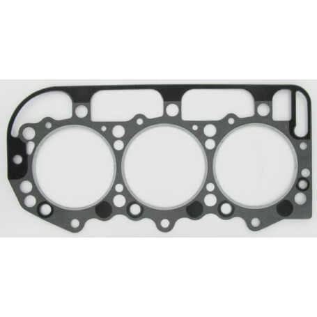 Joint GLASER DANA 81819541N