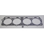Joint GLASER DANA 81710277N