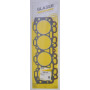 Joint GLASER DANA 36812348N