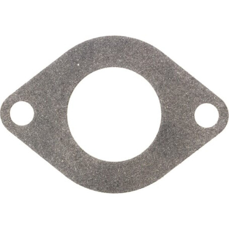 Joint BRIGGS ET STRATTON 590396