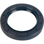Joint GOLDONI 06220038