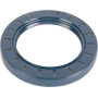 Joint GOLDONI 06220210