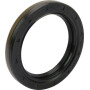 Joint GLASER DANA 04175434N