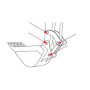 Kit UNIVERSEL PBHITEX352