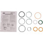 Kit CNH 1543265C1