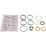 Kit CNH 1543265C1