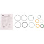 Kit CNH 1543273C1