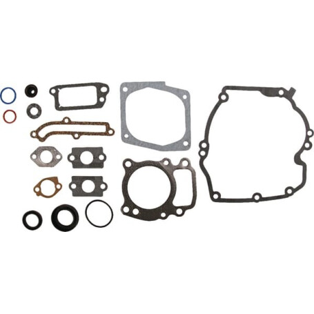 Kit BRIGGS ET STRATTON 496055