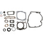 Kit BRIGGS ET STRATTON 496055