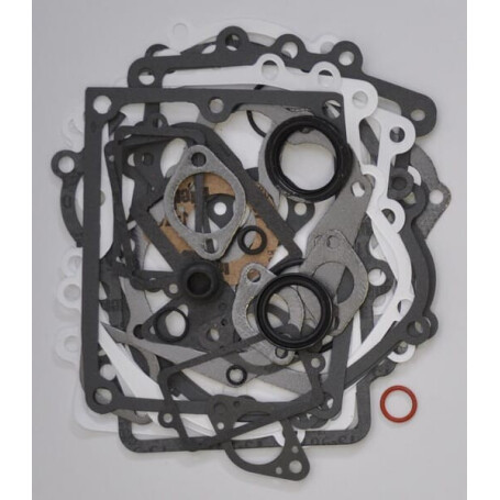 Kit BRIGGS ET STRATTON 495868