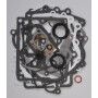Kit BRIGGS ET STRATTON 495868