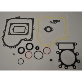 Kit BRIGGS ET STRATTON 691580