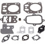 Kit BRIGGS ET STRATTON 795441