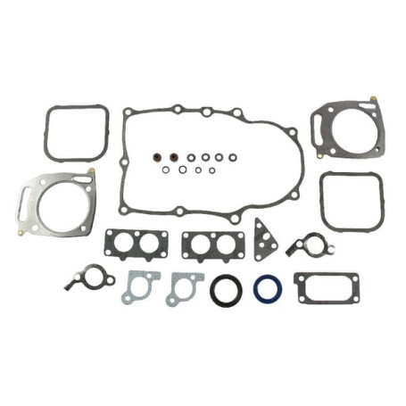 Kit BRIGGS ET STRATTON 842658