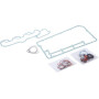 Kit LOMBARDINI 8205110