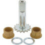 Kit KONGSKILDE 115000215
