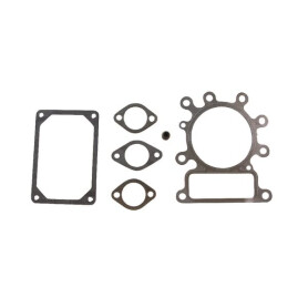 Kit BRIGGS ET STRATTON 495992