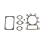 Kit BRIGGS ET STRATTON 495992