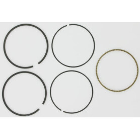 Kit BRIGGS ET STRATTON 793435