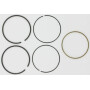 Kit BRIGGS ET STRATTON 793435
