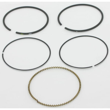 Kit BRIGGS ET STRATTON 793517