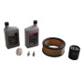 Kit KOHLER 2478902S