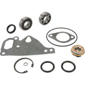 Kit MASSEY FERGUSON V836762631