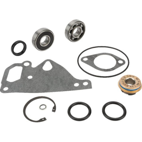 Kit MASSEY FERGUSON V836762631