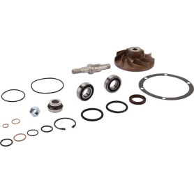 Kit MASSEY FERGUSON V836862271