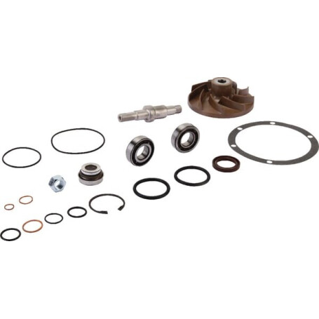 Kit MASSEY FERGUSON V836862271