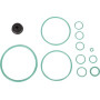 Kit CARRARO CI046421
