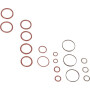 Kit CNH 5190771