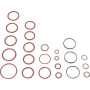 Kit CNH 5190771